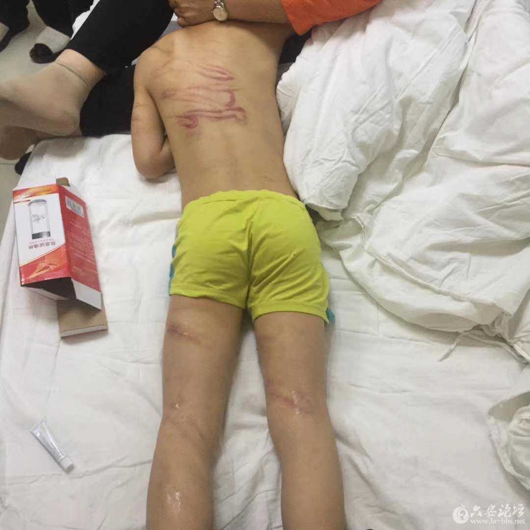 微信图片_20180510105748.jpg