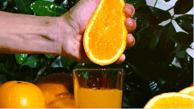 26.gif