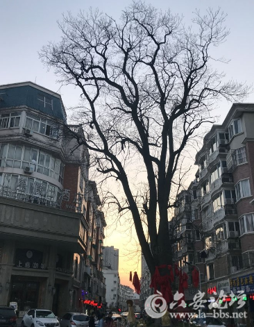 QQ截图20180511093957.png