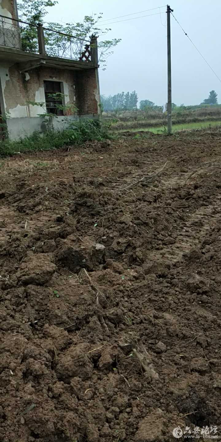 20180512_266625_1526099894369.jpg