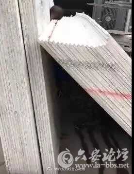 bf122904ly1frjvgk3j77j207o09xwfa.jpg