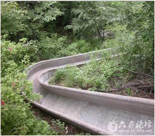 5eb739a6ly1frhy0zg2xaj20ed0cn40f_副本.jpg