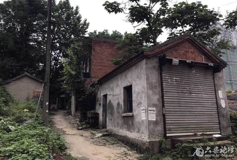 110508j4rsahxigfzssrhn_副本.jpg
