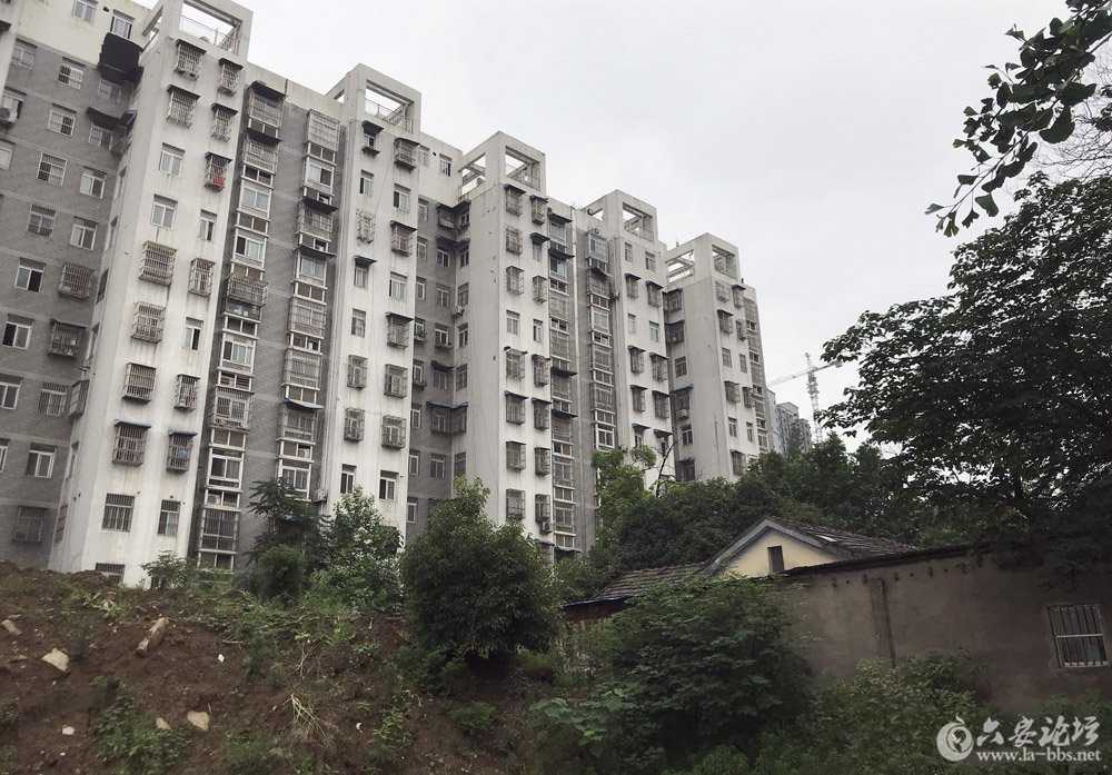 110512u954swtktok1qzs1_副本.jpg