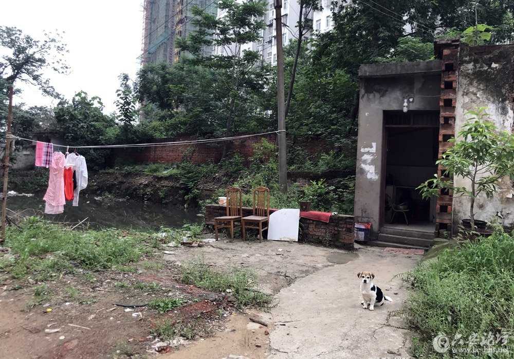 110522anc7lcmih4zcmcnu_副本.jpg