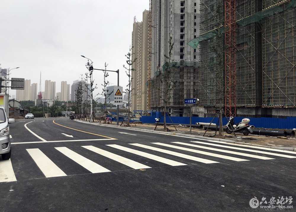 110520flv44lmd88qr45v4_副本.jpg