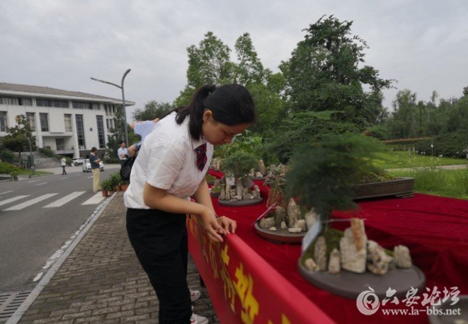 QQ截图20180531090438.png