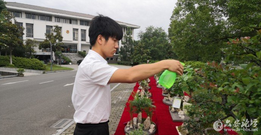 QQ截图20180531090444.png