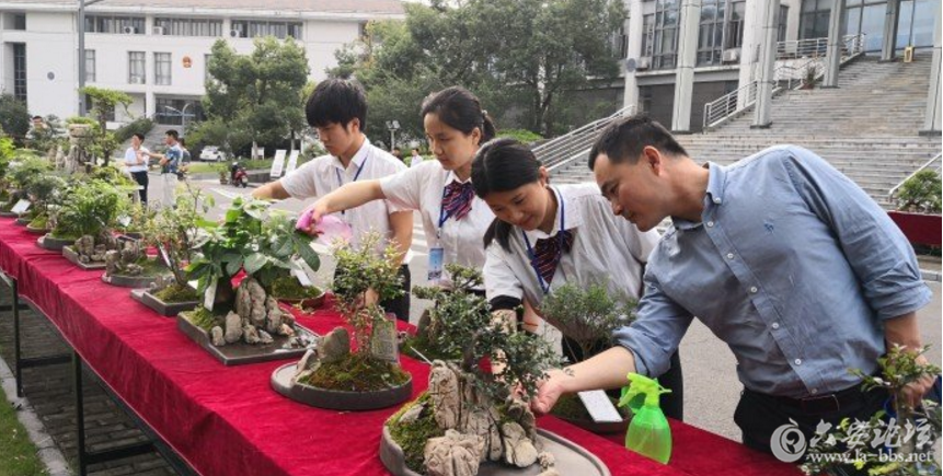 QQ截图20180531090450.png