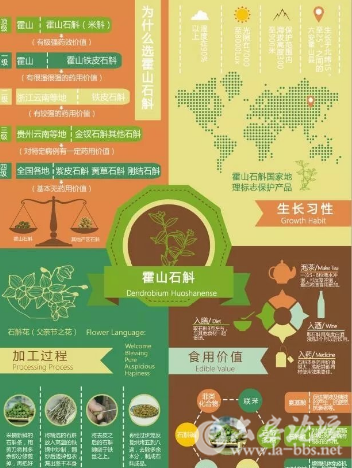 QQ截图20180531093458.png