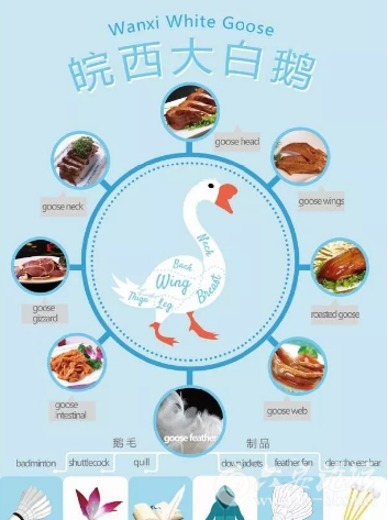QQ截图20180531093505.png