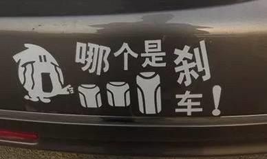 111436cx6dix9o92ip3ilh_副本.jpg