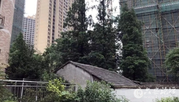 QQ截图20180531113605.png