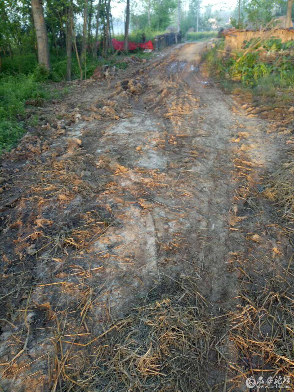 20180601_267016_1527818318562.jpg