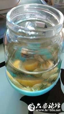 菊花茶.jpg