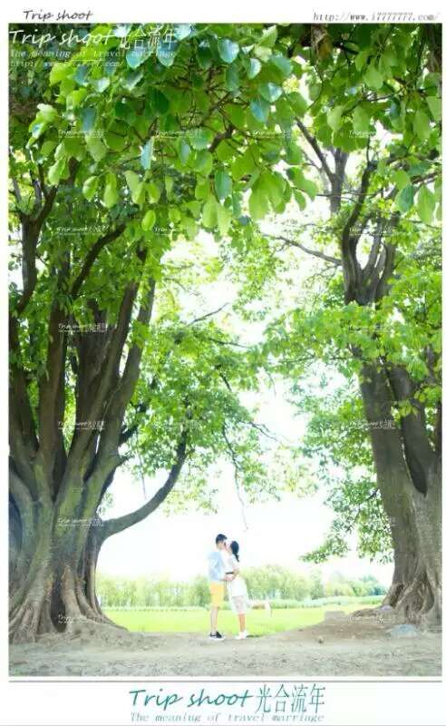 大理光合流年客片