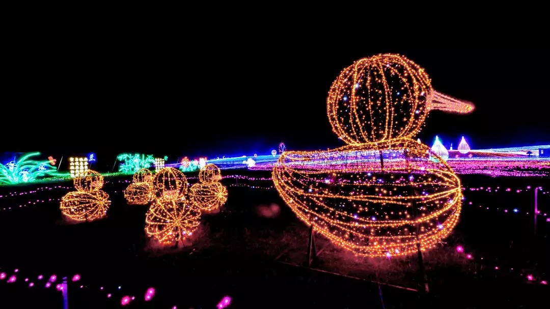 640 (1).webp (2).jpg