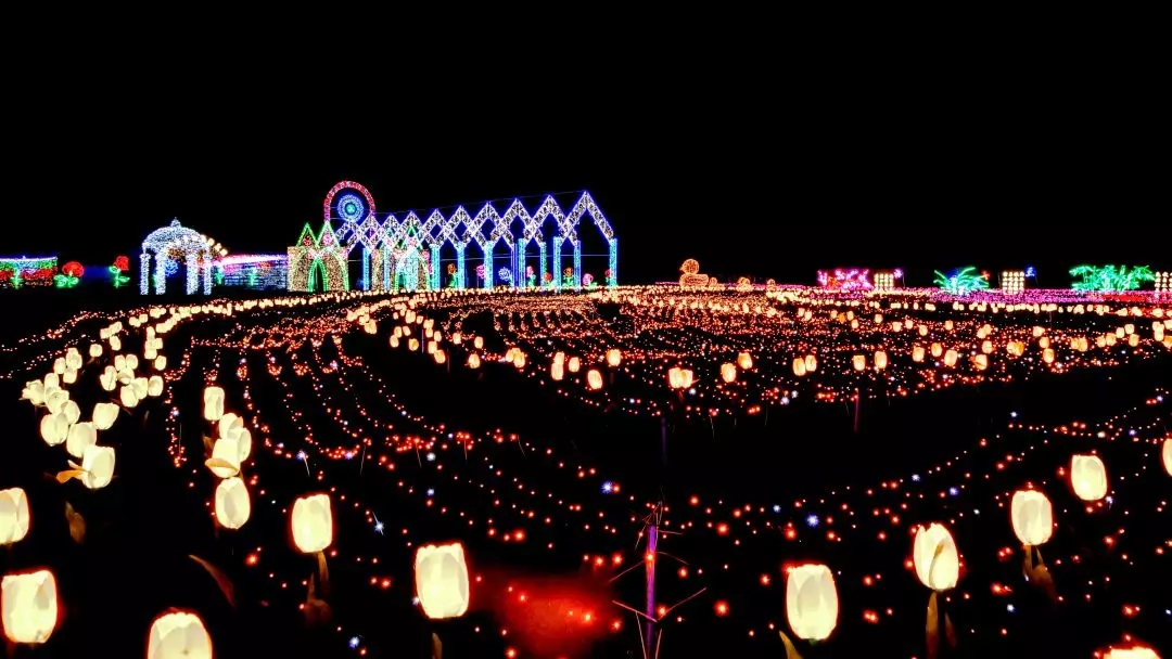 640 (1).webp (3).jpg