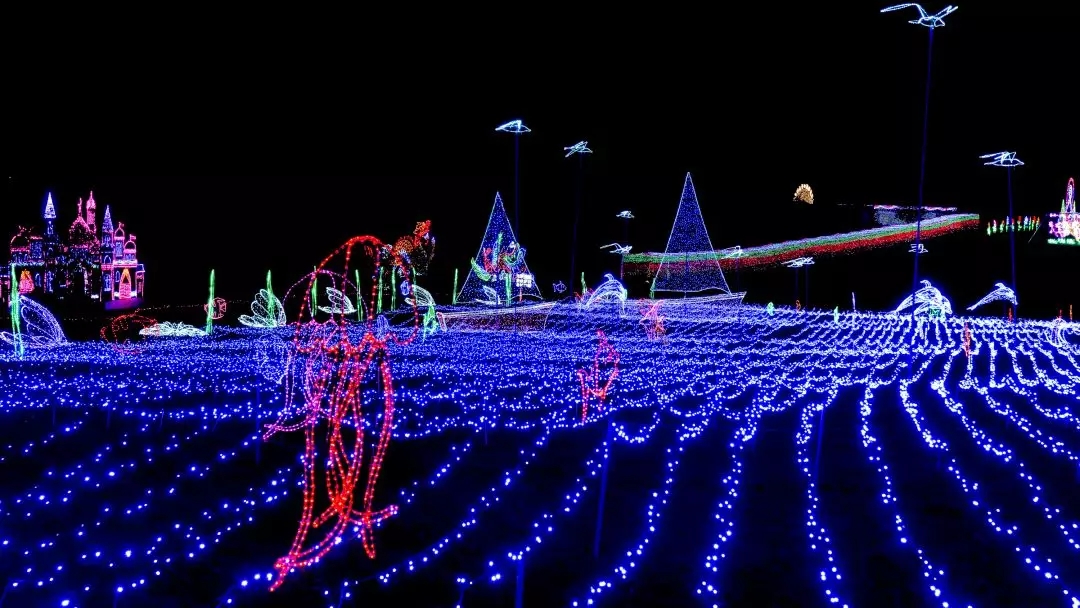 640 (1).webp (4).jpg