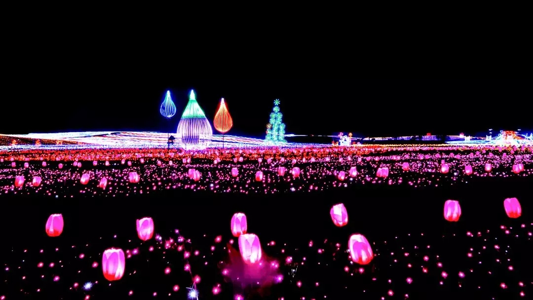 640 (1).webp (7).jpg