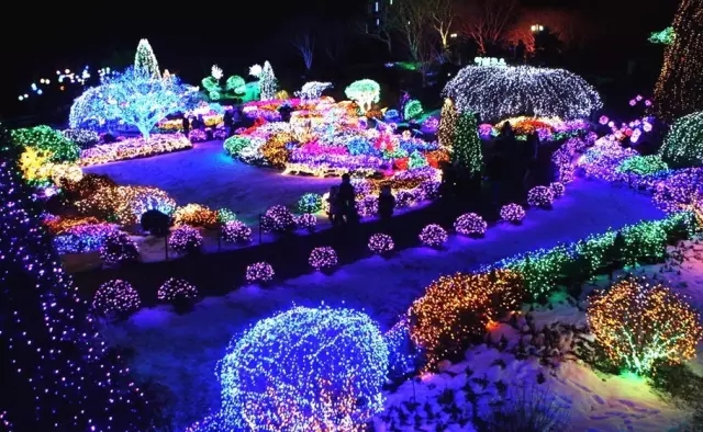 640 (1).webp (9).jpg