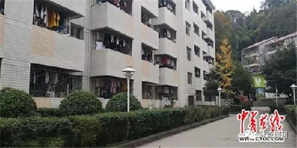 20181126091924625.jpg 20181126091924625.jpg