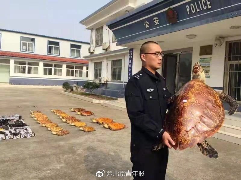 20181130031339842.jpg 20181130031339842.jpg