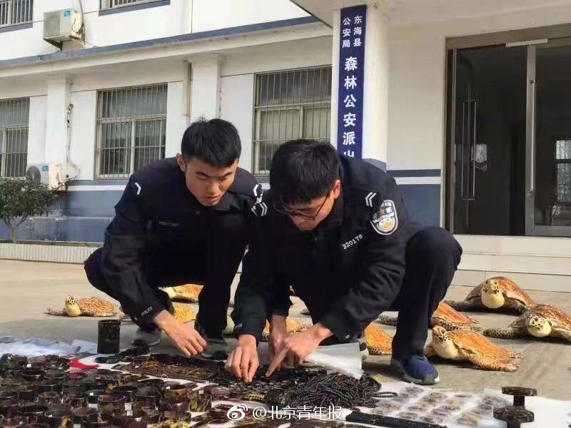 20181130031339325.jpg 20181130031339325.jpg