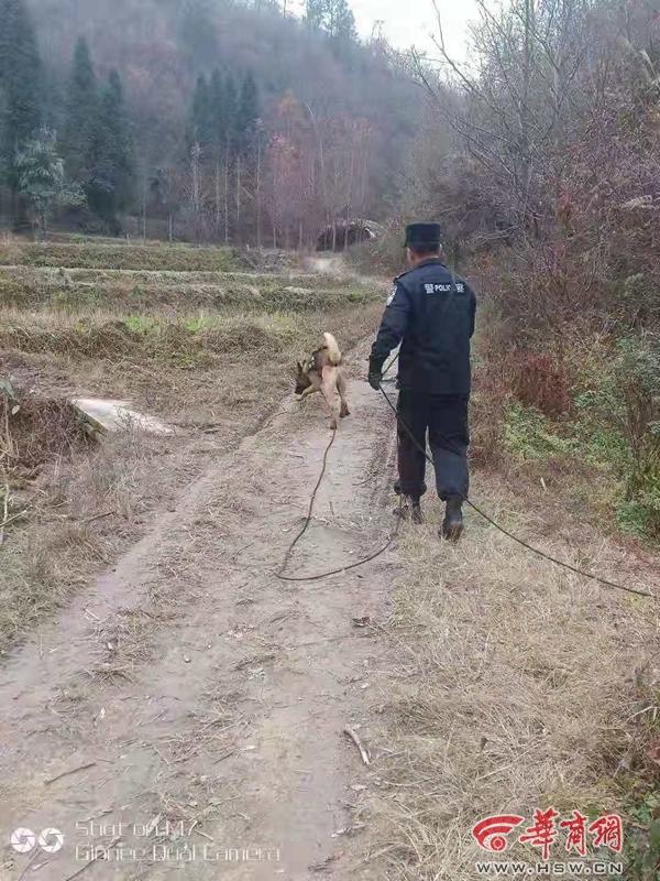 20181203105650471.jpg 20181203105650471.jpg