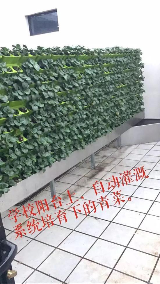 20181204091138732.jpg 20181204091138732.jpg