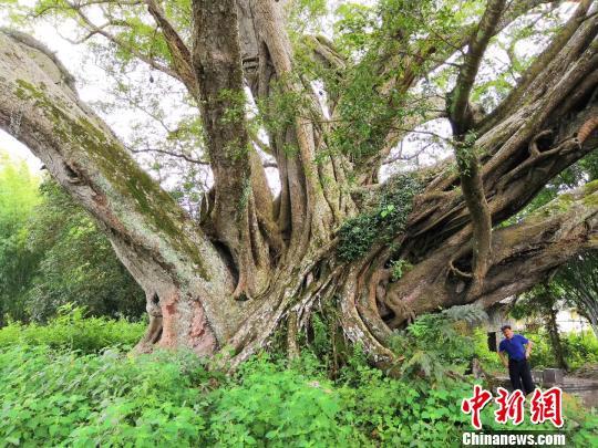 20181205034941378.jpg 20181205034941378.jpg