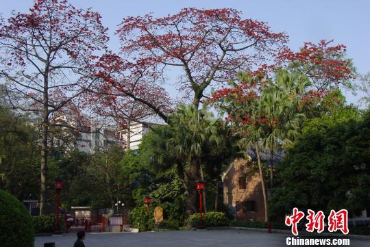 20181205034942749.jpg 20181205034942749.jpg