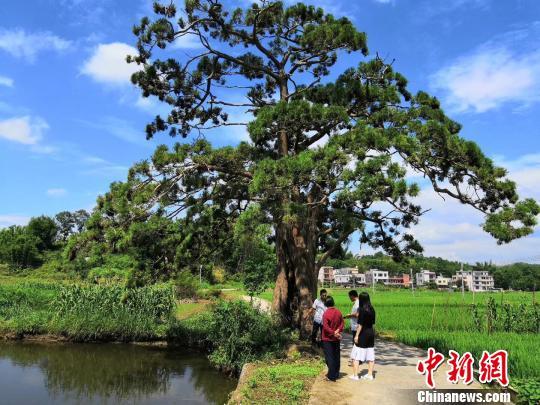 20181205034942155.jpg 20181205034942155.jpg