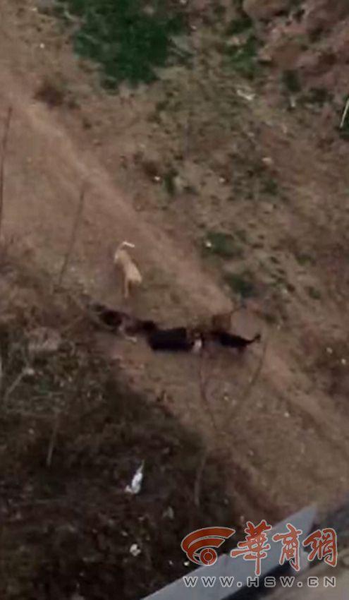 20181206075853263.jpg 20181206075853263.jpg