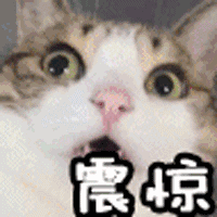 20181209073640658.gif 20181209073640658.gif