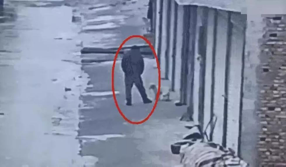 20181211065053993.jpg 20181211065053993.jpg