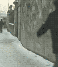 20181211063949486.gif 20181211063949486.gif