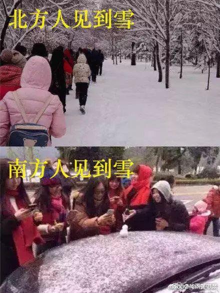 20181211063951661.jpg 20181211063951661.jpg