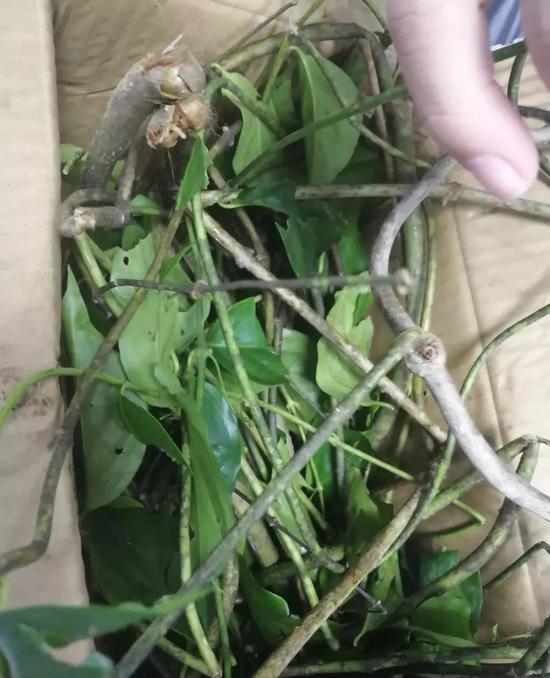 20181212085925974.jpg 20181212085925974.jpg