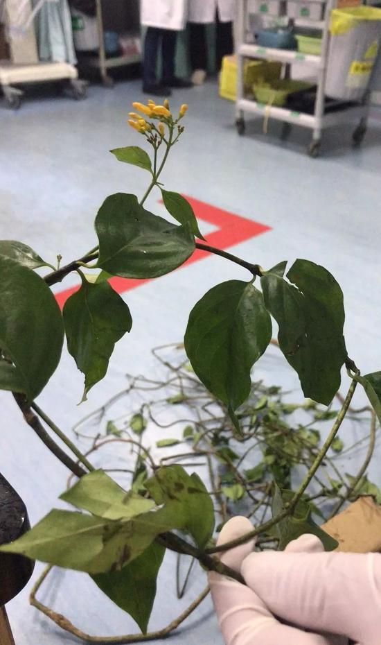 20181212085925260.jpg 20181212085925260.jpg