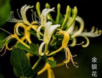 20181212085925919.jpg 20181212085925919.jpg