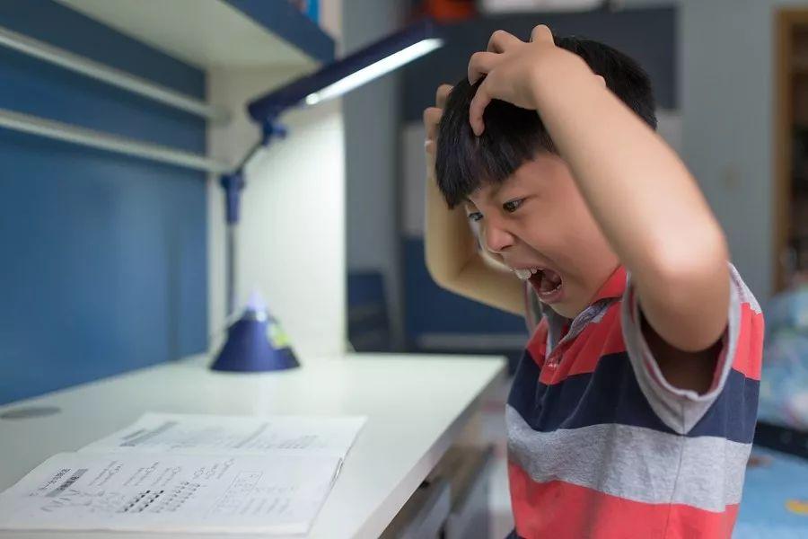 20181213014732663.jpg 20181213014732663.jpg