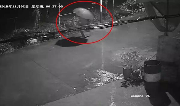 20181213074913927.jpg 20181213074913927.jpg