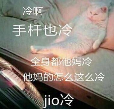 E6C61C270A6689AC01D6EF0CA77E717E44AA771A_size24_w379_h365.jpeg E6C61C270A6689AC01D6EF0CA77E717E44AA771A_size24_w379_h365.jpeg