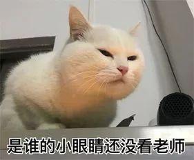 20181215094505968.jpg 20181215094505968.jpg