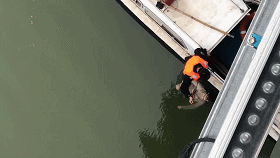 20181215094319315.gif 20181215094319315.gif