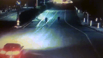 20181214044118440.gif 20181214044118440.gif