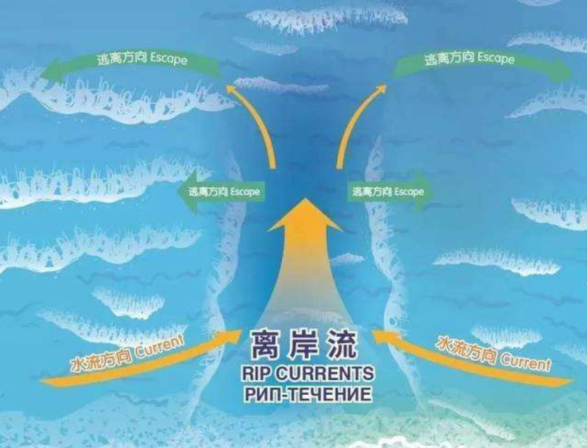 20181218085002832.png 20181218085002832.png