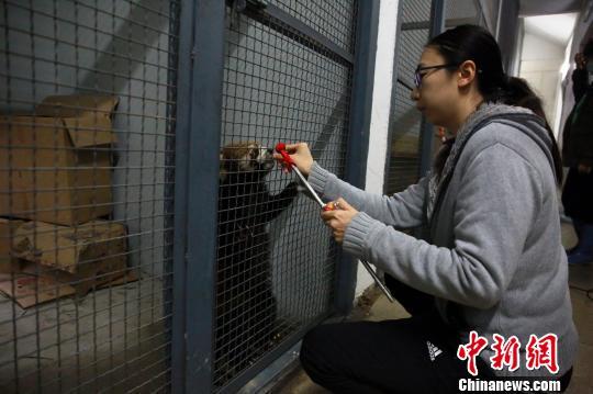 20181220083910455.jpg 20181220083910455.jpg