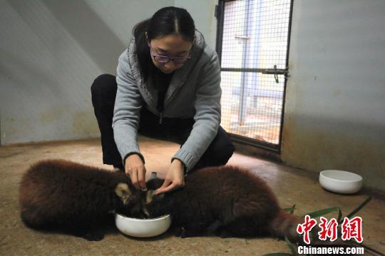 20181220083910700.jpg 20181220083910700.jpg